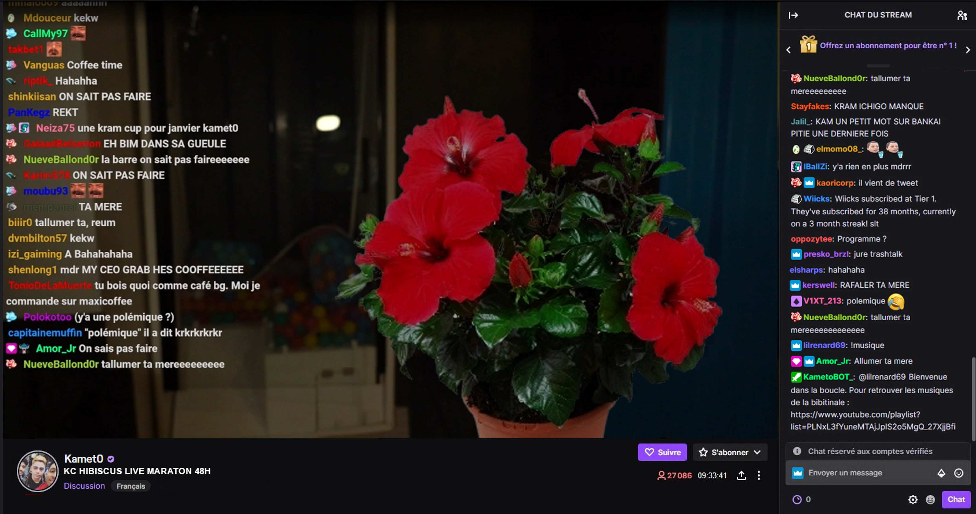 LFL-KC-Hibiscus