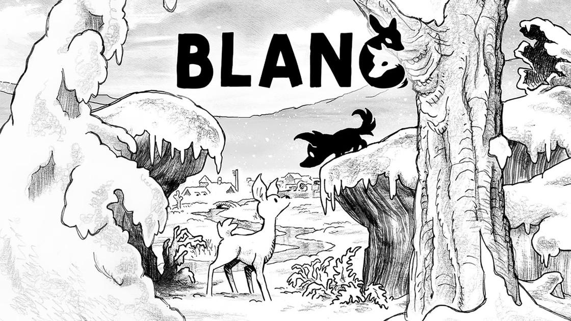 Test Blanc sur Nintendo Switch