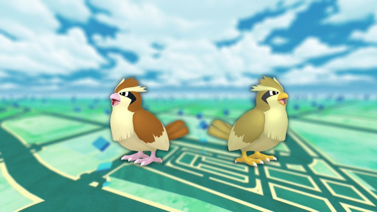 Roucool (shiny) dans les Heures de Pokémon Vedette de février 2023 sur Pokémon GO