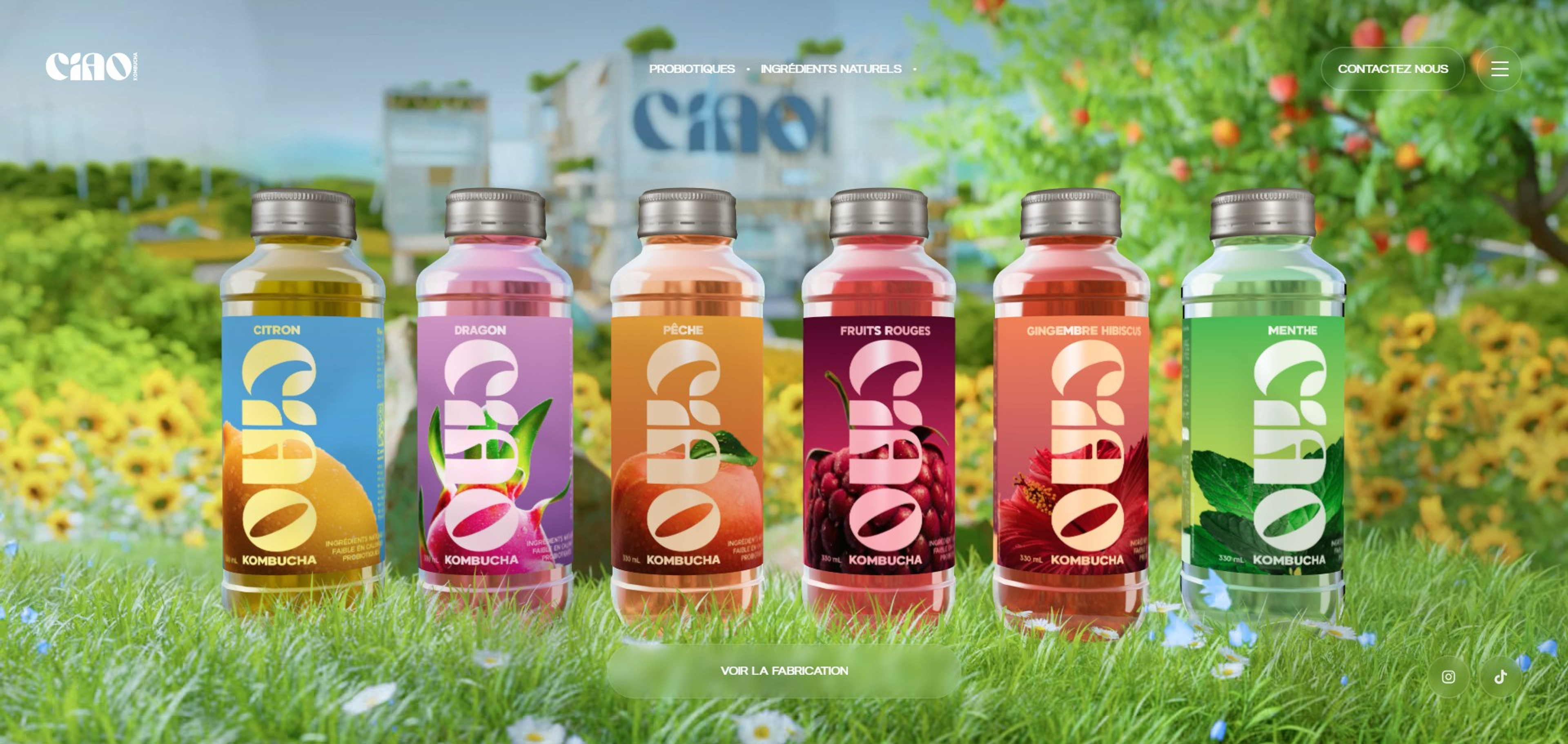 ciao-kombucha-squeezie-gouts