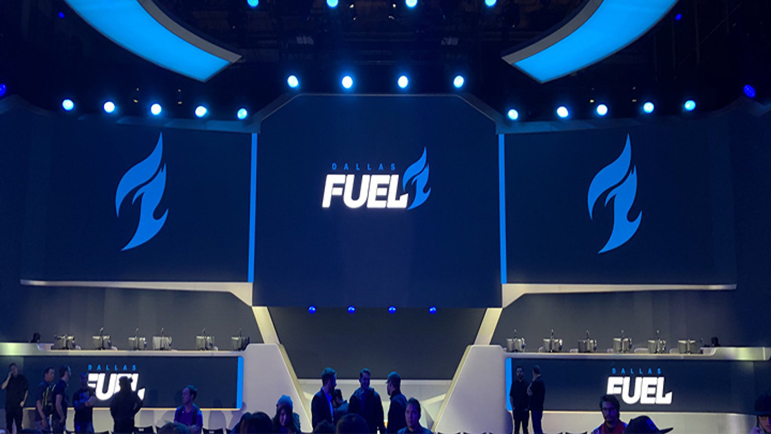 OW : Le champion de poker Fedor Holz investi dans Team EnVyUs et le Dallas Fuel