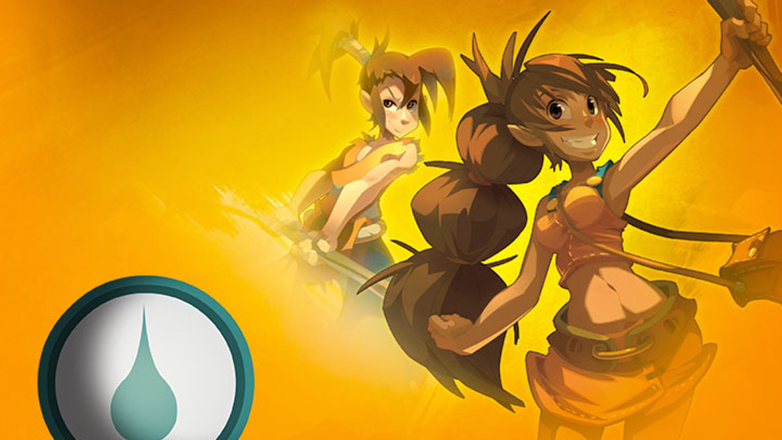 DOFUS : Guide et Stuff du Féca Eau