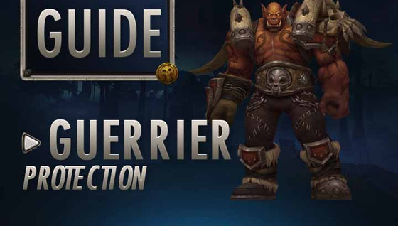 Guide Guerrier Protection 8.0.1