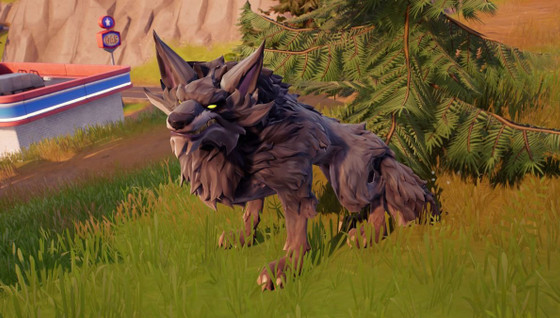 Défi Escapade estivale : Caresser des loups ou des sangliers apprivoisés dans plusieurs parties dans Fortnite