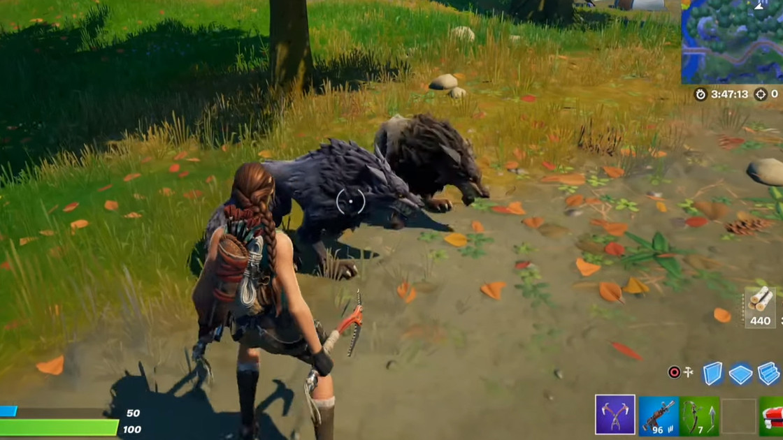 Loup Fortnite, où les trouver en saison 8 ?