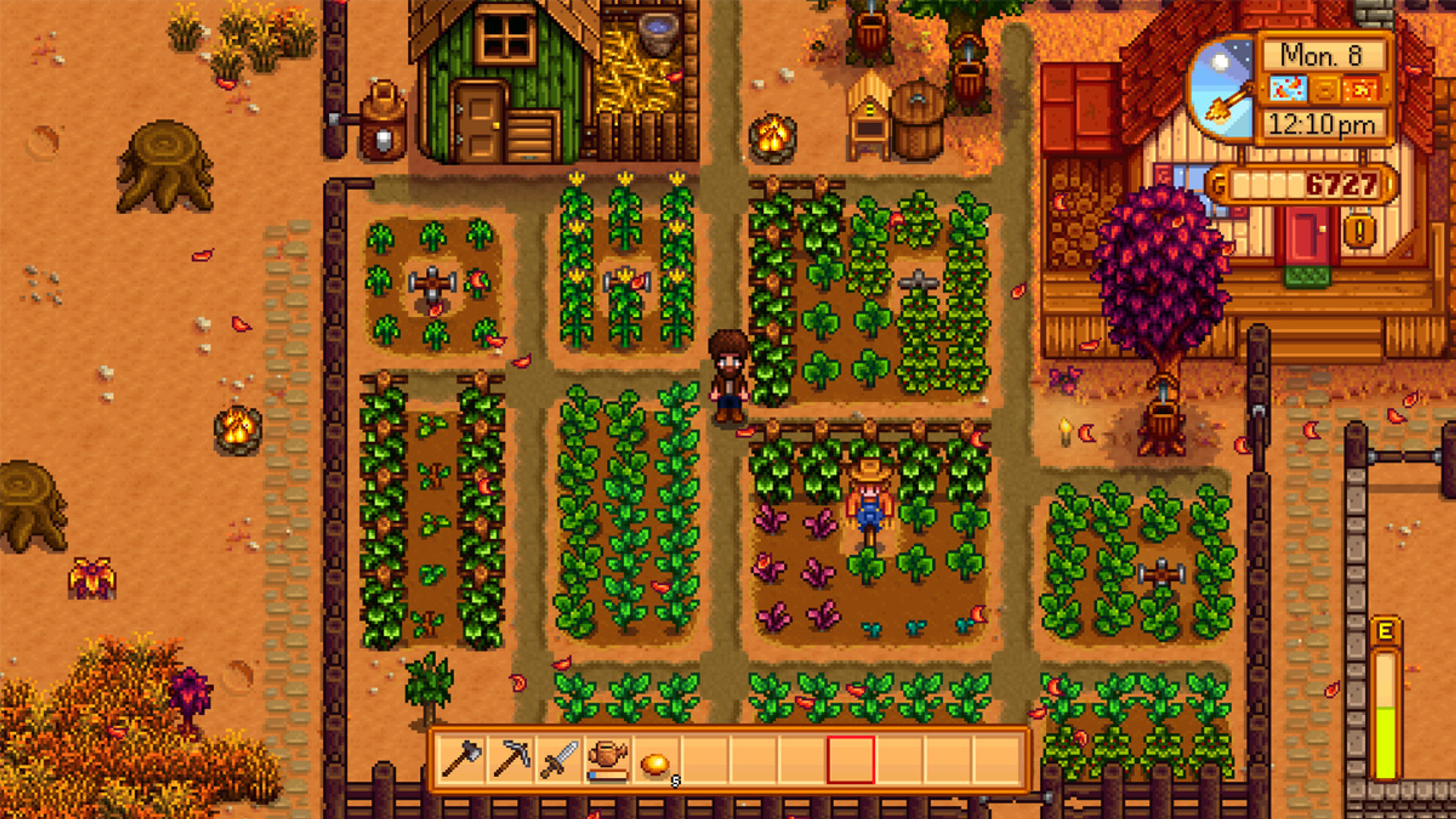 stardew-valley-melon-comment-avoir