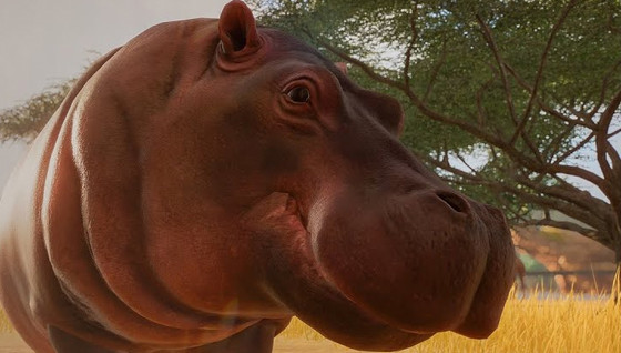 De nouveaux animeaux dans Planet Zoo