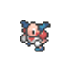 Les Pokémon de Couronneige