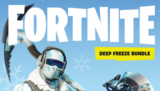 Pack Froid éternel : une version physique de Fortnite