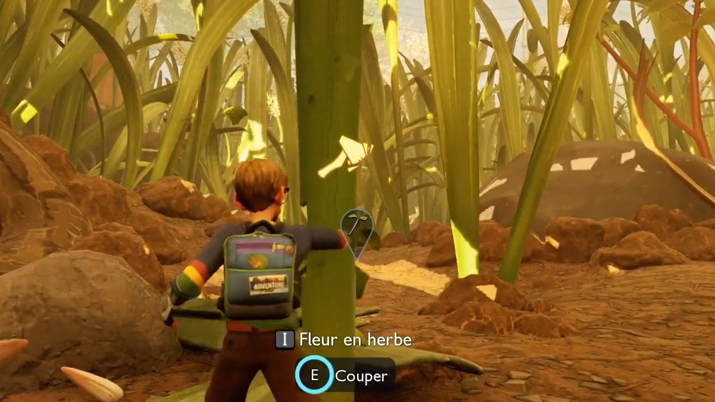couper-fleur--herbe
