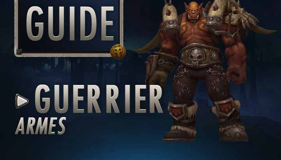 Guide Guerrier Armes 8.0.1