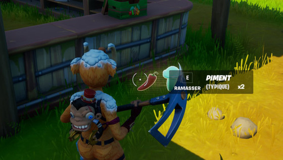 Où trouver du piment dans Fortnite ?