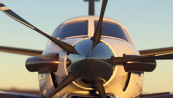 Plus d'infos sur Flight Simulator