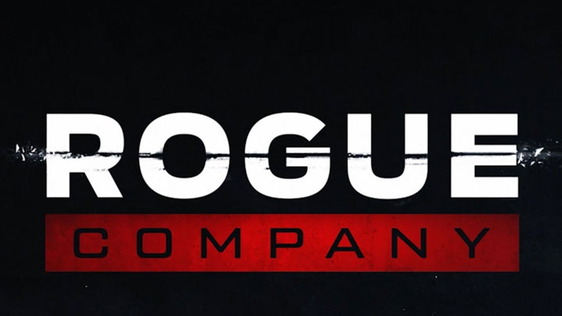 Rogue Company : Interview de Chris Larson et Scott Zier à propos de la date de sortie, le crossplay, l'alpha, l'esport et le portage sur téléphone