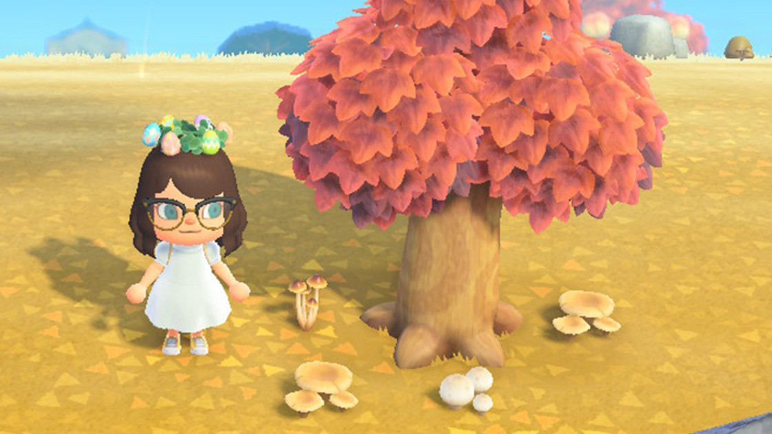 Champignons, tous les plans de bricolage dans Animal Crossing : New Horizons