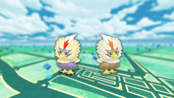 Furaiglon (shiny) dans les Heures de Pokémon Vedette de juin 2023 sur Pokémon GO