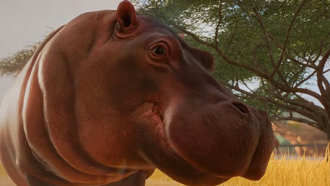 Planet Zoo : Nouveaux animaux comme le Nyala, le Flamant rose, la Hyène, le Chameau, le Panda, le Bison ou le Pangolin