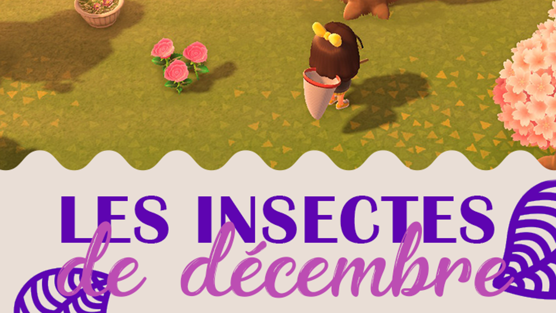 Insectes du mois de décembre dans Animal Crossing New Horizons, hémisphère nord et sud