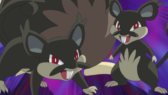 Rattata Alola (shiny) dans les Heures de Pokémon Vedette de mai sur Pokémon GO