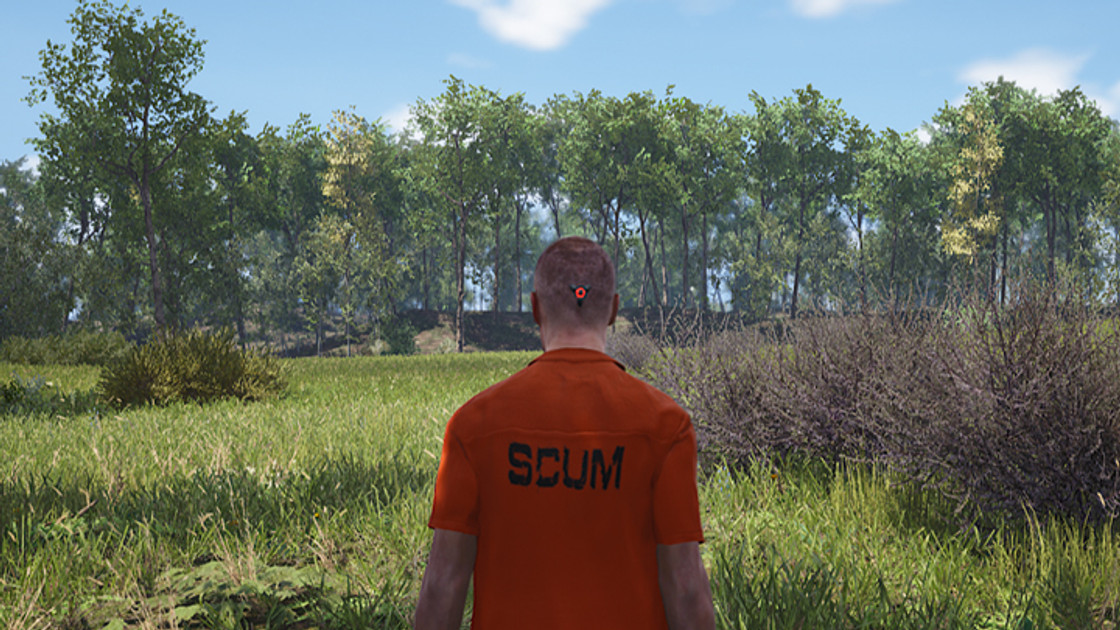 SCUM : Jouer en équipe, trouver l'adresse IP des serveurs