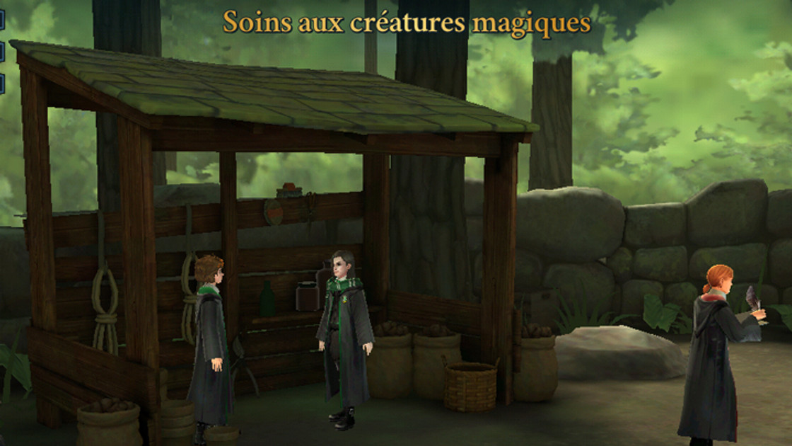 Questions et réponses du cours de soins aux créatures magiques, Harry Potter Hogwarts Mystery