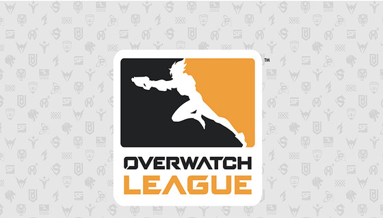 Quel bilan de la présaison de l'OWL ?