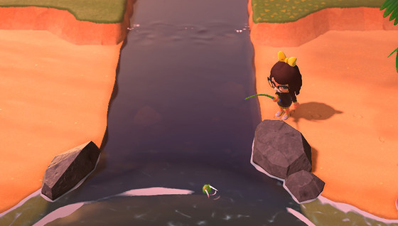 Une embouchure de rivière dans Animal Crossing, c'est quoi ?