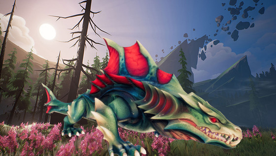 Tout savoir sur le Drask