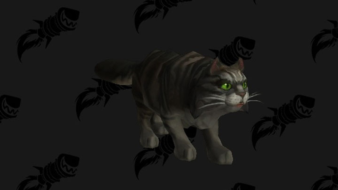 Mascotte secrète Félicia Jenafur, comment l'obtenir sur WoW ? Solution et infos