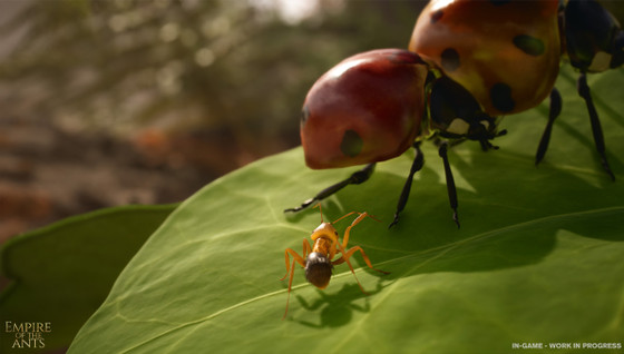 Un jeu inspiré du roman « Les Fourmis » de Bernard Weber ?