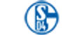 FC_Schalke_04_Esportslogo_std