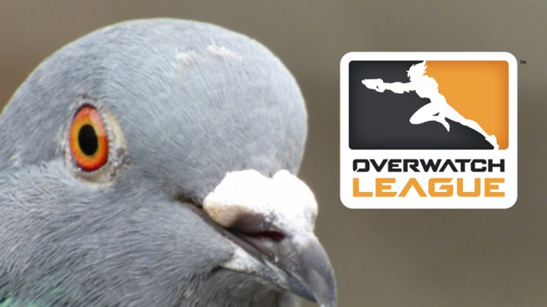 Overwatch League : Les équipes ont changé leur photos sur les réseaux sociaux avant un partenariat avec Staple Pigeon