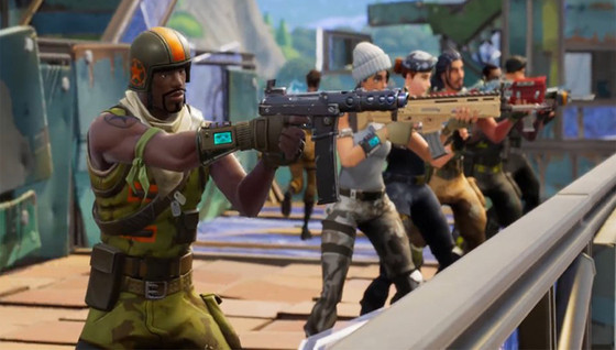 29 % des joueurs français sur Fortnite