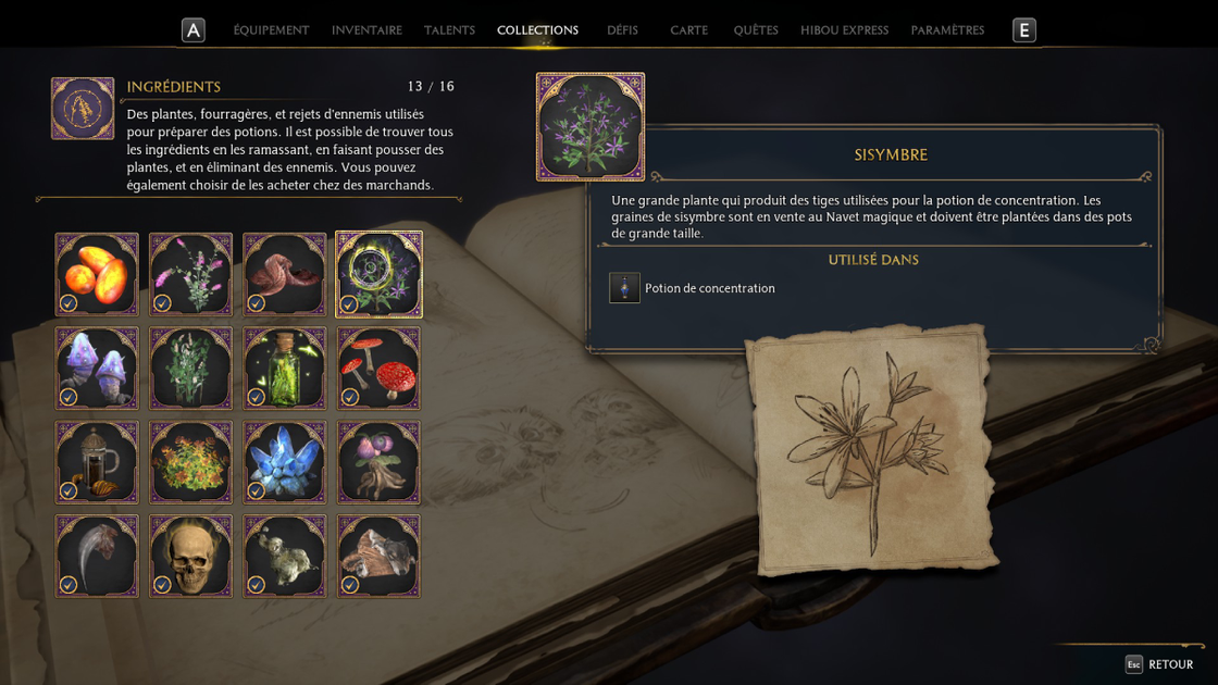 Tige de Sisymbre Hogwarts Legacy : où trouver la plante ?