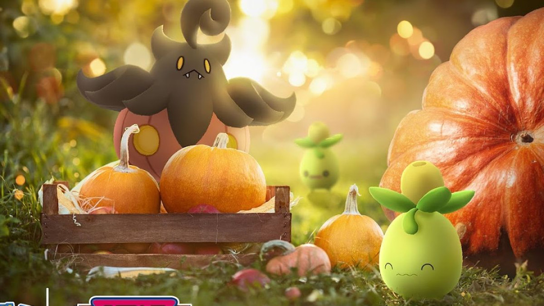 Défi de collection Festival des récoltes : Pitrouille et Olivini sur Pokémon Go, comment les compléter ?