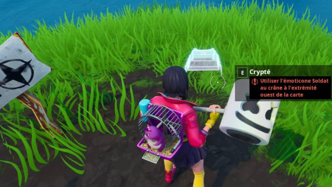 Fortnite : Puce 03 Décryptage, Utiliser l'émoticone Soldat au crâne à l'extrémité ouest de la carte, Défi