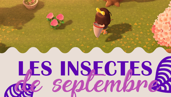 Les insectes à capturer en octobre