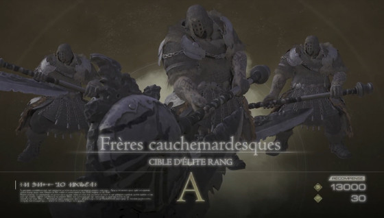 FF16 Frères cauchemardesques, où trouver la cible élite de la Plage des quiets brisants sur Final Fantasy XVI ?