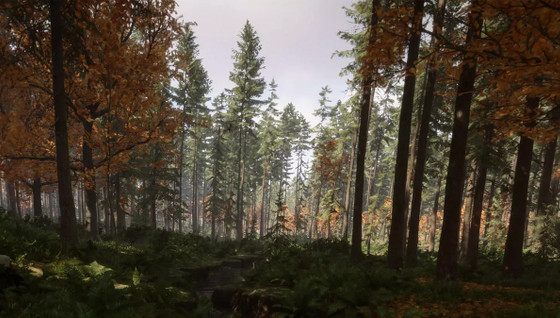 Une map interactive pour Sons of the Forest