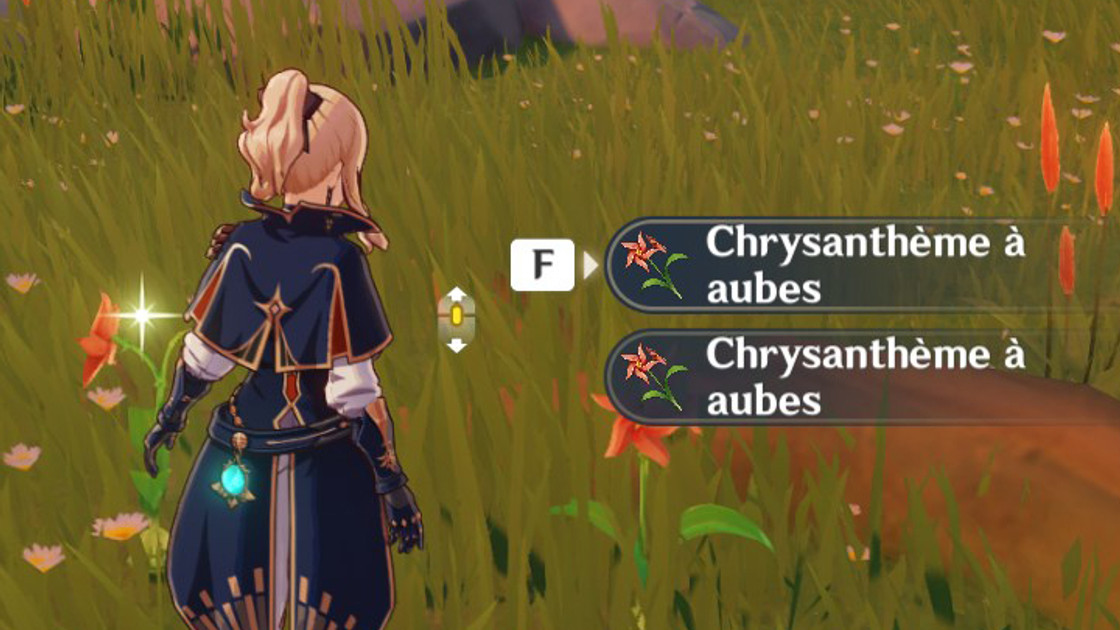 Chrysanthème à aubes Genshin Impact, où en trouver ?
