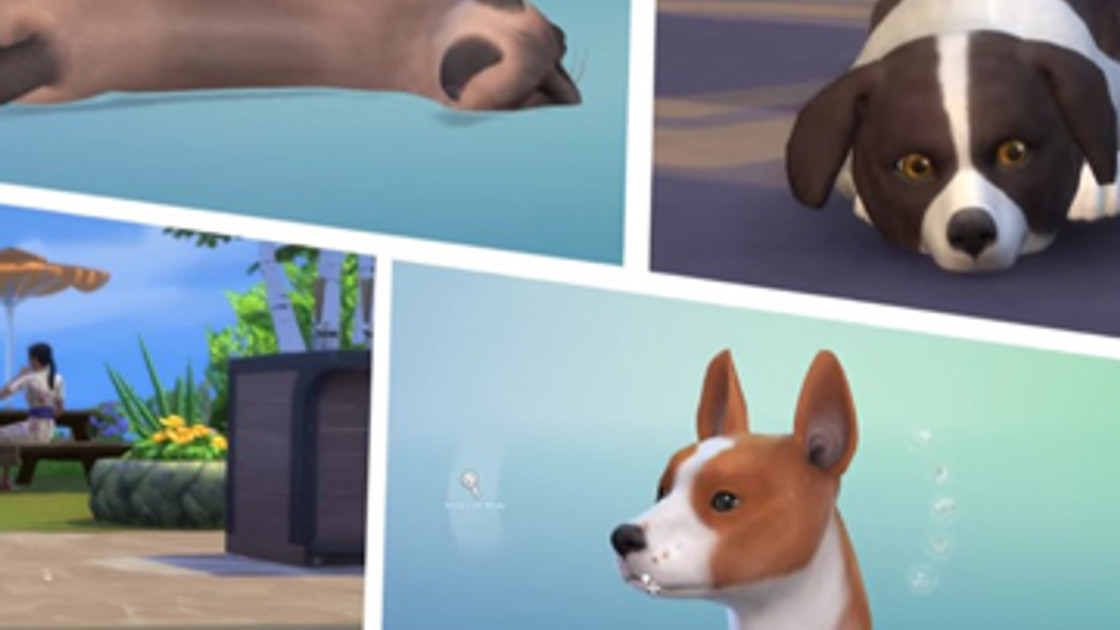 Sims 4 : Chiens et Chats - Créer un animal et le personnaliser