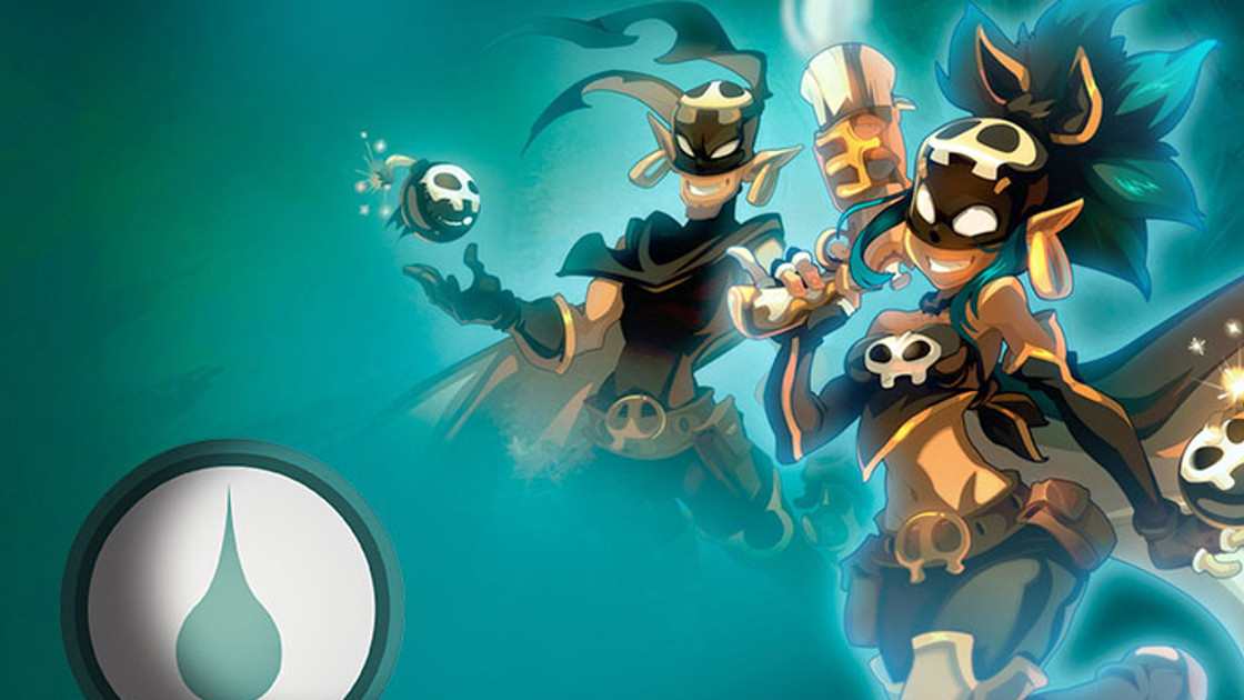 DOFUS : Guide et Stuff du Roublard Eau