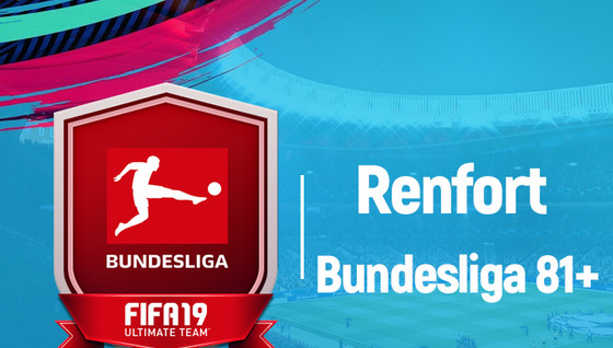 Solution DCE Renfort Bundesliga 81+