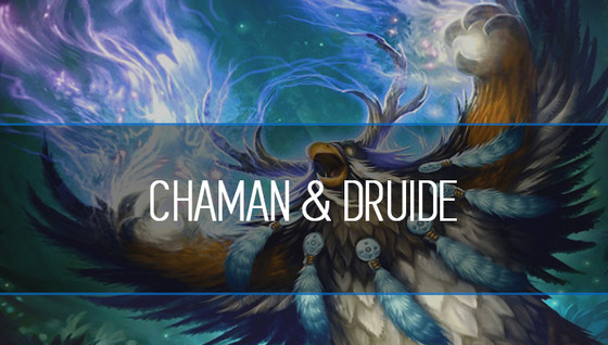 Comment jouer Chaman et Druide en arène ?