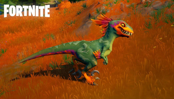 Comment apprivoiser les raptors ?