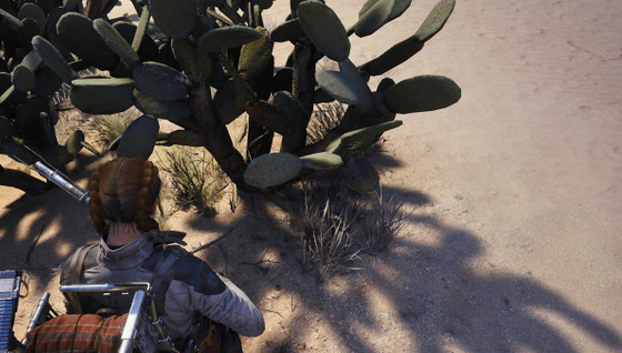 Où trouver les figues de Barbarie dans ARC Raiders ?