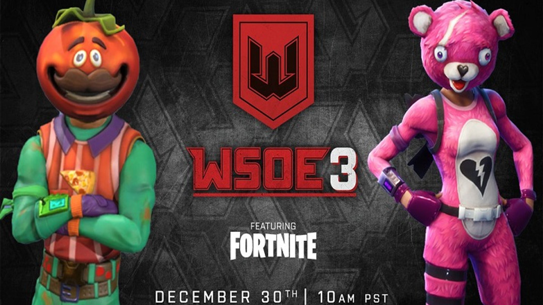 Fortnite WSOE 3 : Tournoi avec Team Vitality, résultats et classement