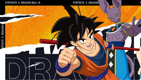 Le code de l'ile d'aventure de Dragon Ball bug pour certains joueurs