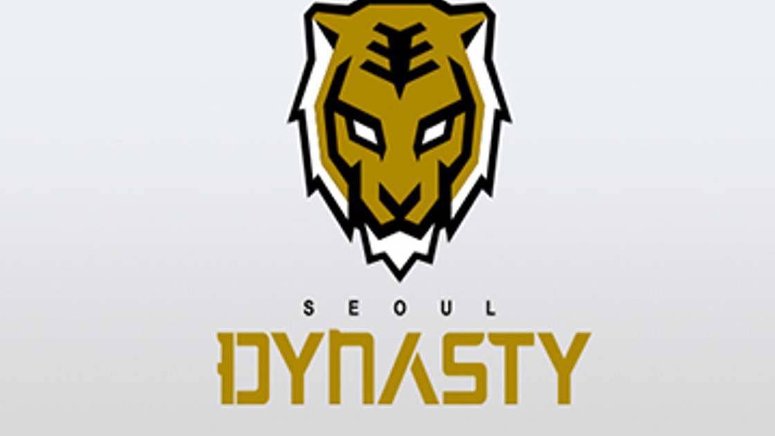 OW : Séoul Dynasty, franchise dans l'Overwatch League