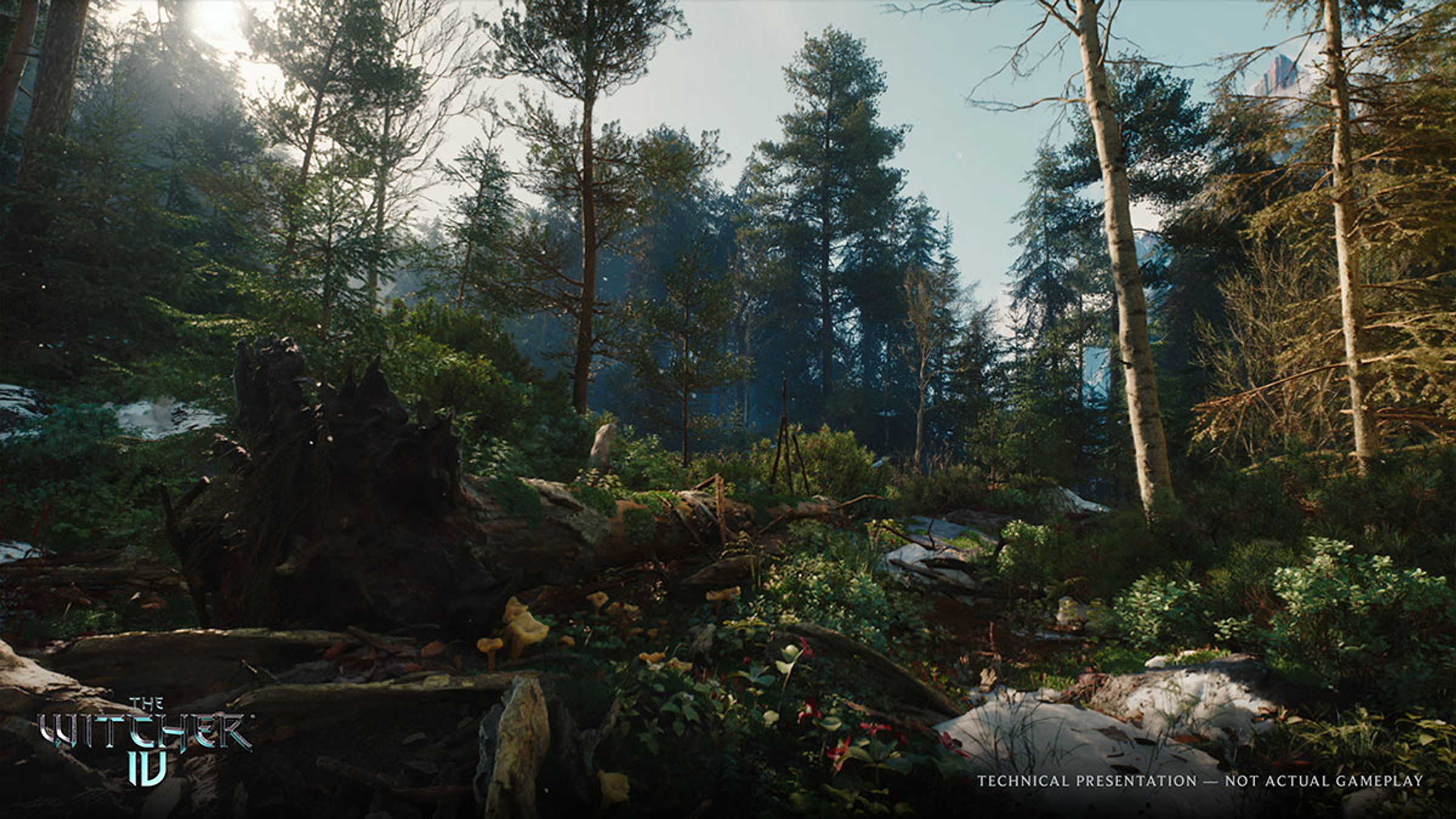 the-witcher-4-trailer